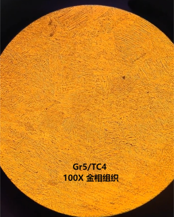 100X.jpg