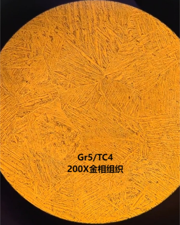 200.jpg
