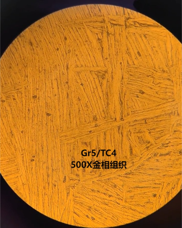 500.jpg